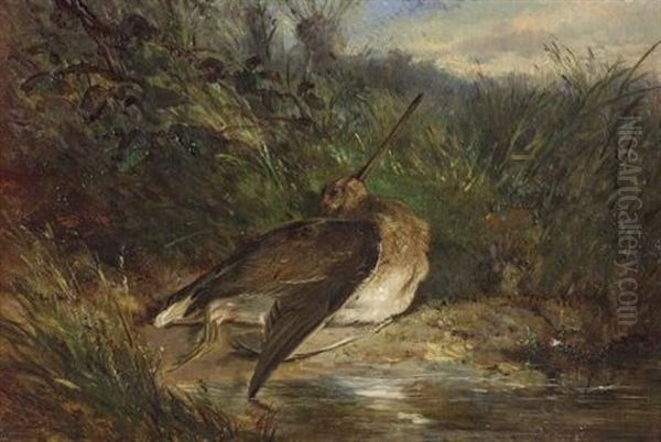 Snipe Oil Painting by James Hardy Jr.