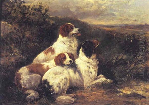 Setters At Rest Oil Painting by James Hardy Jr.