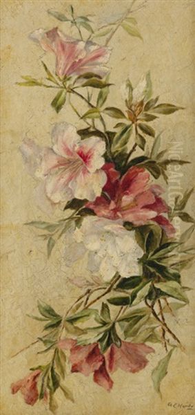 Still Life With Azaleas Oil Painting by Anna Eliza Hardy