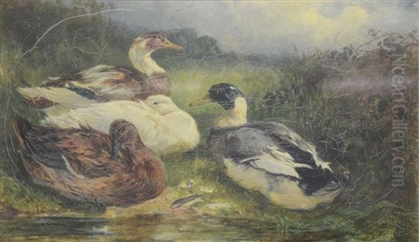 Three Ducks By A Pool Oil Painting by Heywood Hardy