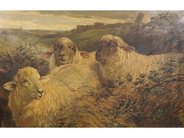 Three Sheep Amongst Brambles With Landscape Beyond Oil Painting by Heywood Hardy