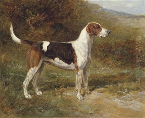 "sunshine," A Foxhound Of The Quorn Oil Painting by Heywood Hardy