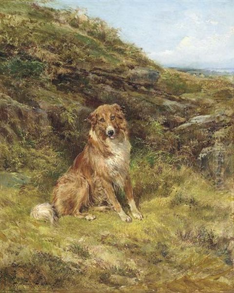 A Collie In A Landscape Oil Painting by Heywood Hardy