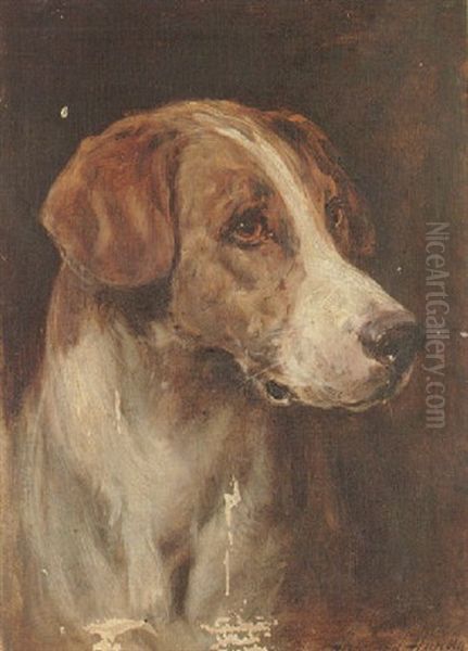 Head Of A Hound Oil Painting by Heywood Hardy