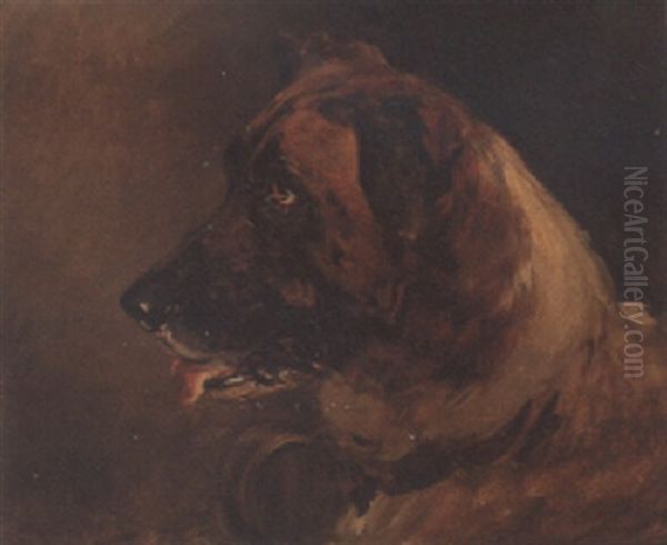 Head Of A St. Bernard Oil Painting by Heywood Hardy