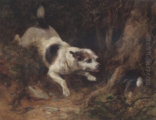 A Terrier Rabbiting Oil Painting by Heywood Hardy