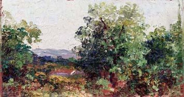 Nuoro, Tanca Manna Oil Painting by Antonio Ballero