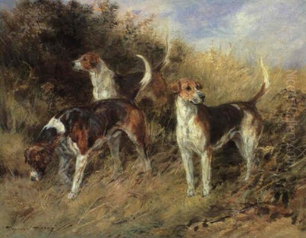 North Shropshire Foxhounds: Nigel, 1904; Dandy, 1906; And Sapphire, 1906 Oil Painting by Heywood Hardy