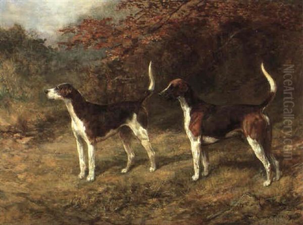 Foxhounds: Chorister, 1901; And Norman, 1904 Oil Painting by Heywood Hardy