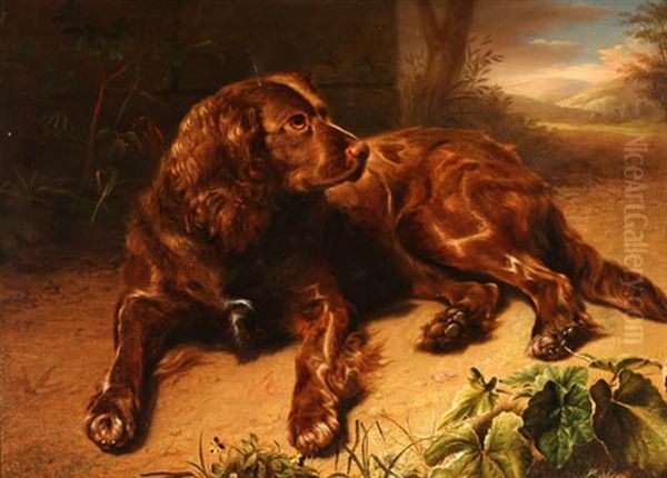 Spaniel Resting In A Forest Oil Painting by Jeremiah P. Hardy