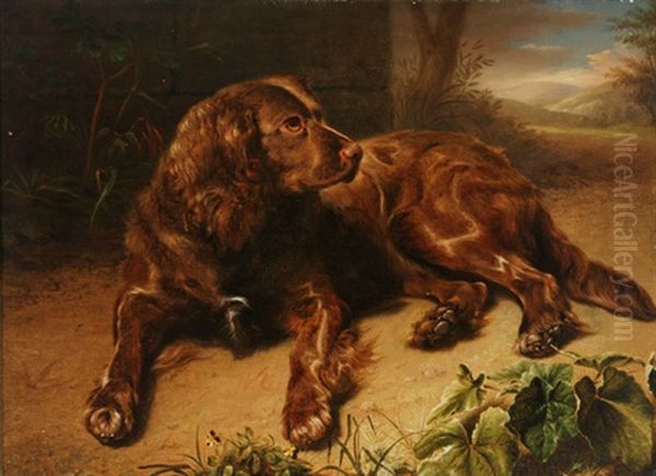 Brown Spaniel Resting On A Woodland Floor Oil Painting by Jeremiah P. Hardy