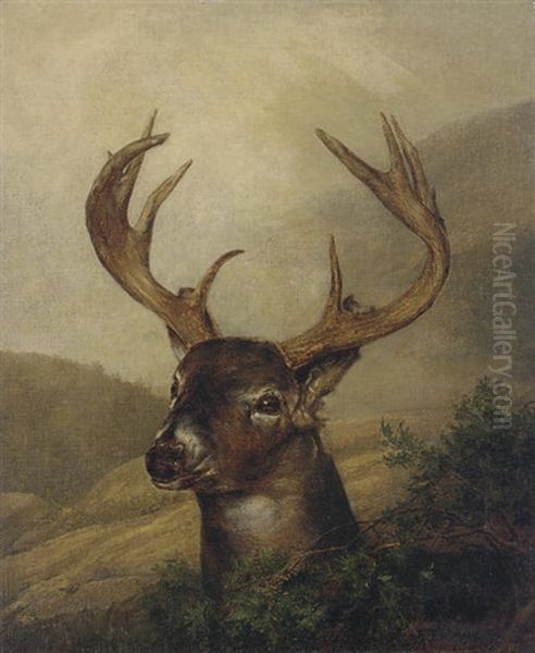 A Stag In A Mountainous Landscape Oil Painting by Jeremiah P. Hardy