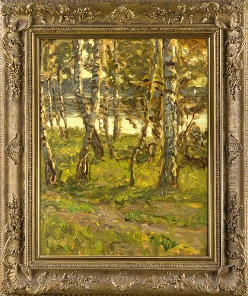 Impressionistischer Birkenhain Am Ufer Eines Waldsees Oil Painting by Max Jabonski