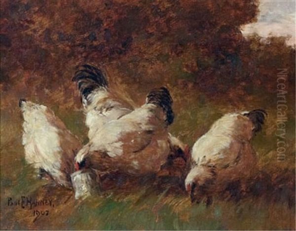 Four White Chickens Oil Painting by Paul Harney Jr.