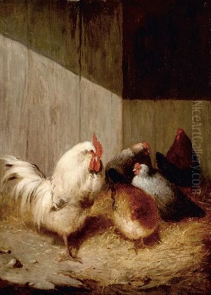 Chickens In A Barnyard by Paul Harney Jr.