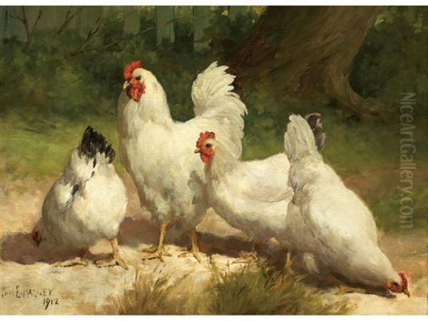 Four Chickens Oil Painting by Paul Harney Jr.