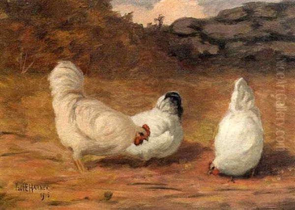 Three Chickens In A Farmyard Oil Painting by Paul Harney Jr.