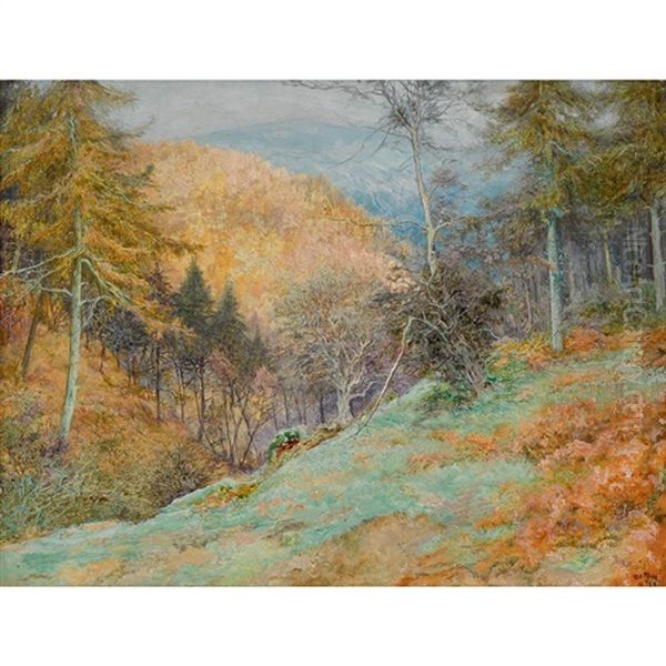 Radnor Forest by Edward Steel Harper