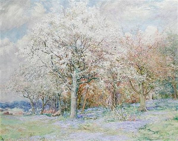 Woodland Scene With Bluebells by Edward Steel Harper