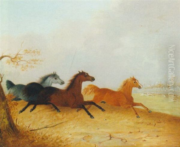 Horses Running With Hounds Oil Painting by Robert Harrington