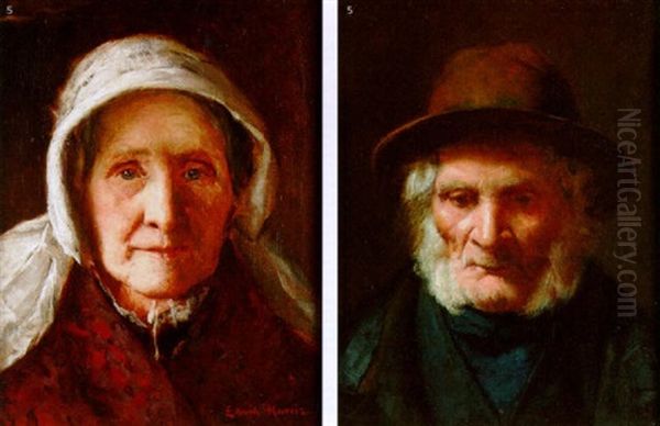 Portrait Of An Elderly Woman Oil Painting by Edwin Harris