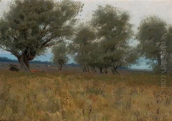 Olive Trees Oil Painting by Alexander Harrison