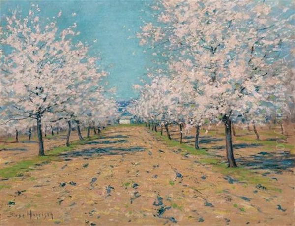 Apple Blossoms Oil Painting by Lovell Birge Harrison