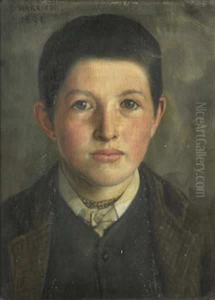 Portrait Of A Young Boy Oil Painting by Sarah Cecilia Harrison