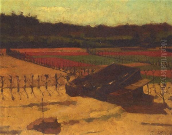 A Bulb Field With A Barn In The Foreground Oil Painting by Ferdinand Hart Nibbrig