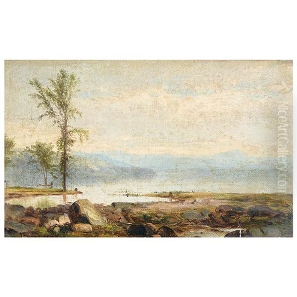 Shore Scene With Single Tree Oil Painting by James McDougal Hart