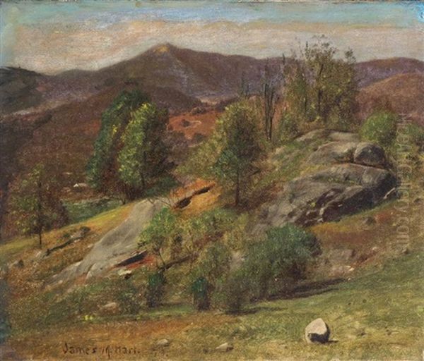 Spring Hillside Oil Painting by James McDougal Hart