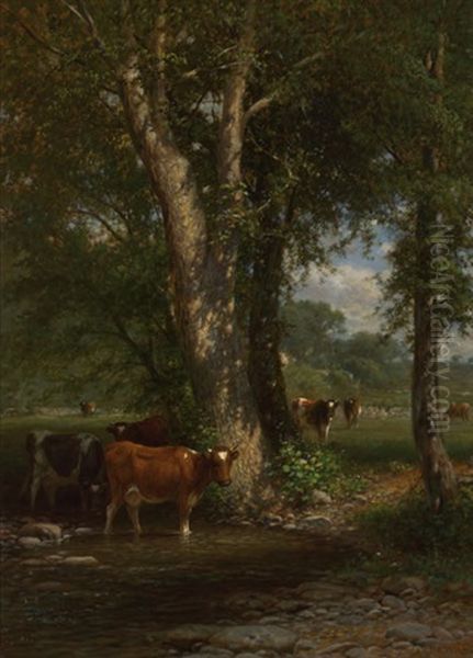 Cattle In A Stream Oil Painting by James McDougal Hart