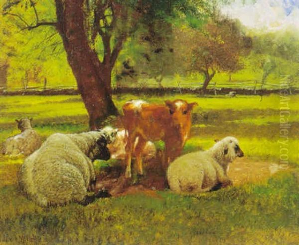 Cows And Sheep Resting In The Shade Of A Tree Oil Painting by James McDougal Hart