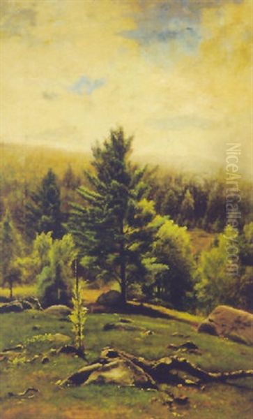 Landscape With Mullen In Foreground Oil Painting by James McDougal Hart