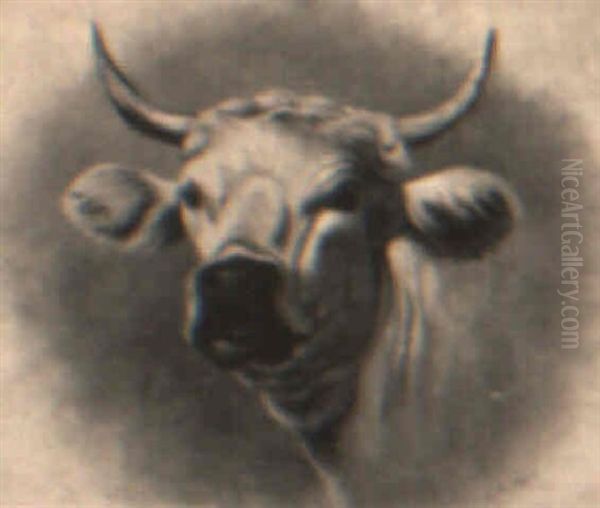 Head Of A Bull Oil Painting by James McDougal Hart