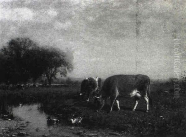 Cows Grazing Near A Pond With Ducks Oil Painting by James McDougal Hart