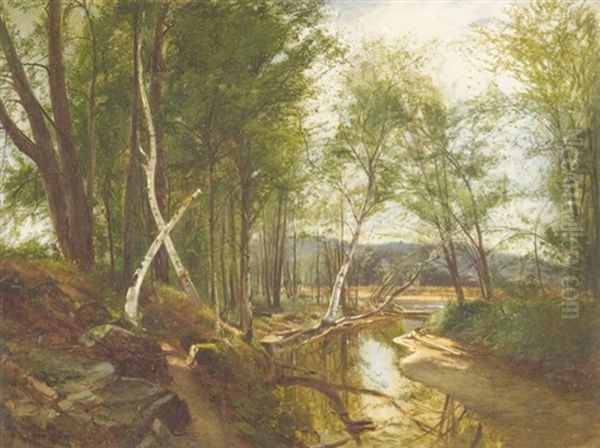 Birch Trees By A Tributary Oil Painting by William M. Hart