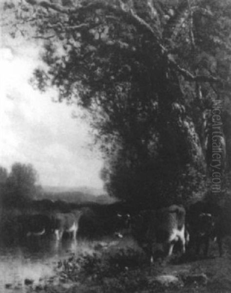 Cows At The River Oil Painting by William M. Hart