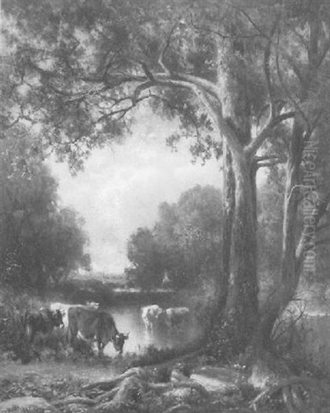 Cattle Watering By A Stream Oil Painting by William M. Hart