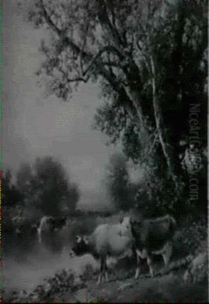 Cows Watering By A River Oil Painting by William M. Hart