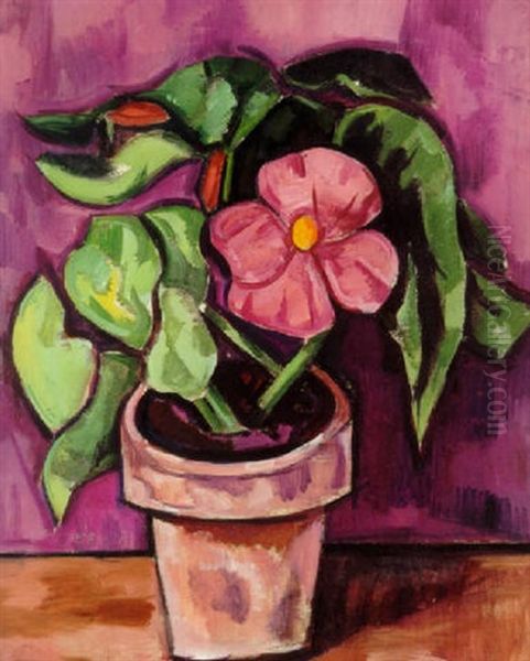 Pink Begonia Oil Painting by Marsden Hartley