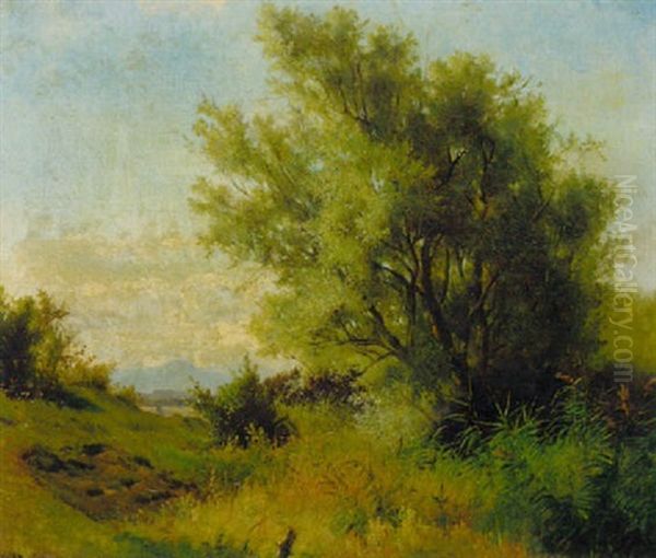 Landschaft Mit Weide, Schilf Und Wiesen Im Voralpenland Oil Painting by Ludwig Hartmann