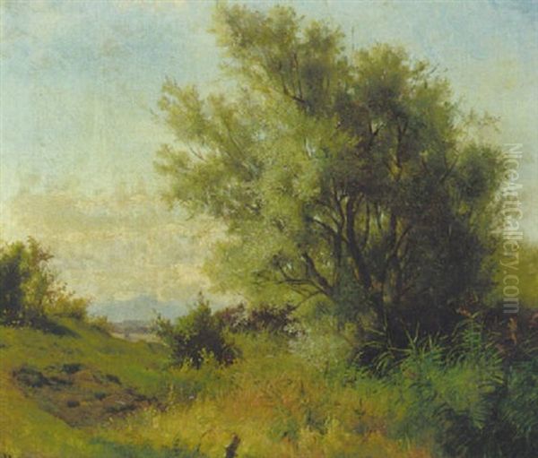 Landschaft Mit Weide, Schilf Und Wiesen Im Voralpenland Oil Painting by Ludwig Hartmann