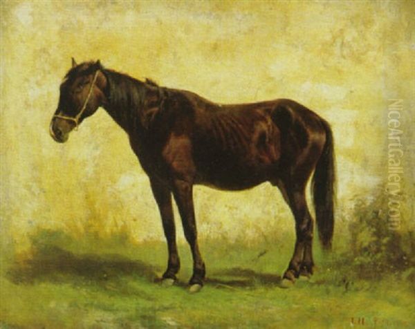 Braunes Pferd Oil Painting by Ludwig Hartmann