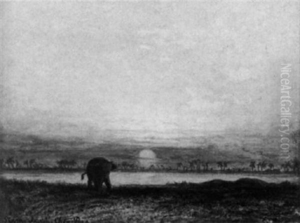 Siamesische Landschaft Mit Elephant Vor Untergehender Sonne An Einem Flus Oil Painting by Eduard Hartung