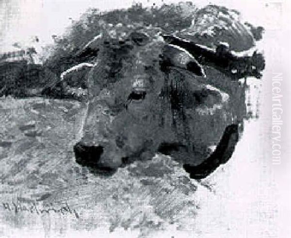 Head Of Ox Oil Painting by Hermann Hartwich