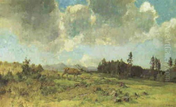 Wiese In Voralpenlandschaft Oil Painting by Max Hartwig