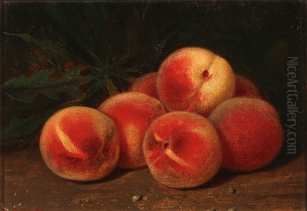 Still Life With Peaches Oil Painting by George Harvey