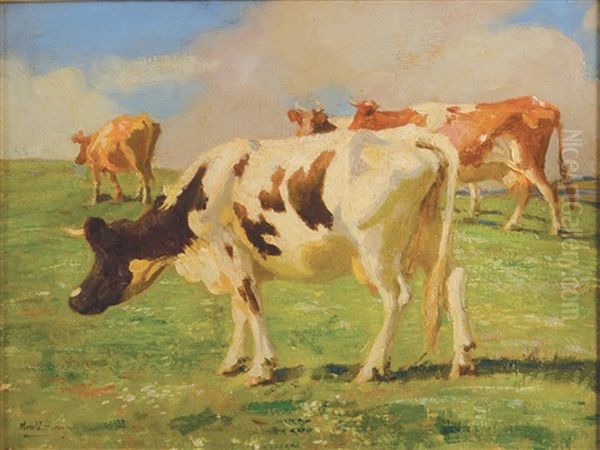 Cows Above Newlyn Oil Painting by Harold Harvey