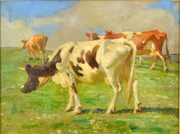 Cows Above Newlyn Oil Painting by Harold Harvey